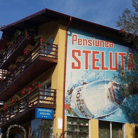 Pensiunea Steluta Predeal Exterior foto