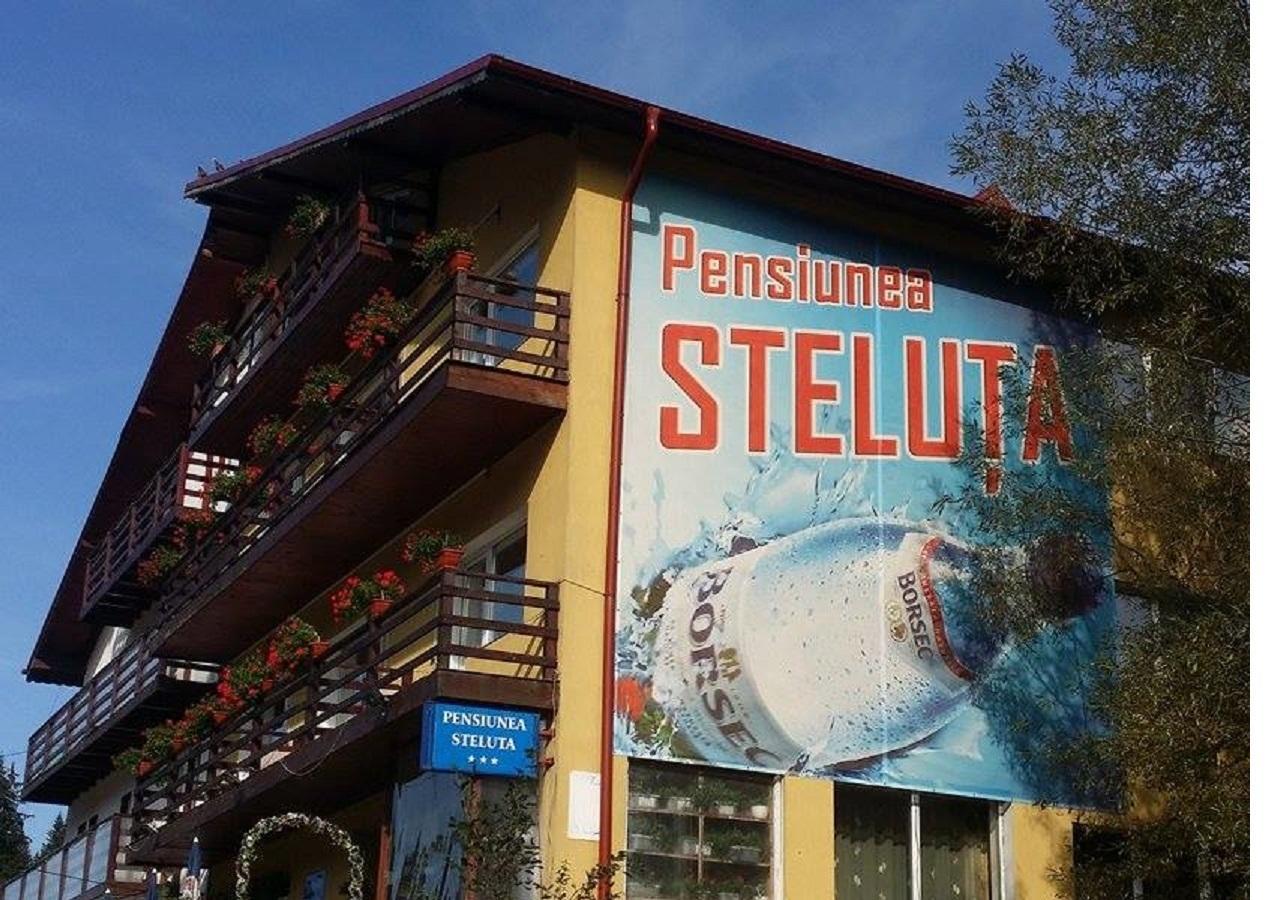 Pensiunea Steluta Predeal Exterior foto
